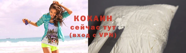 молекула духа Дмитриев