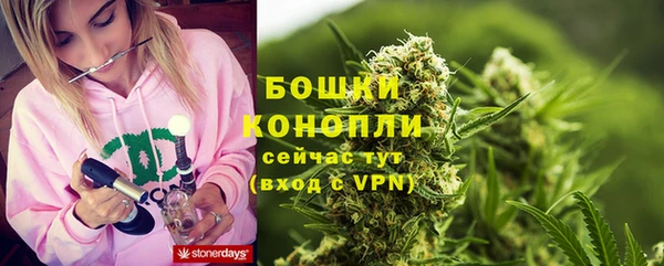 марки lsd Гусь-Хрустальный