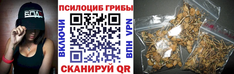Псилоцибиновые грибы GOLDEN TEACHER  Евпатория 